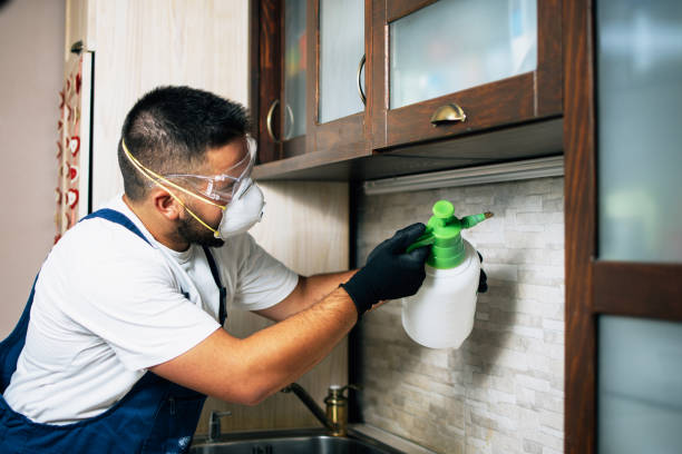 Reliable Litchfield Park, AZ Pest Control Solutions